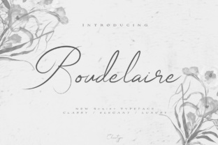 Enhance Your Brand with Boudelaire: A Feminine Script Font