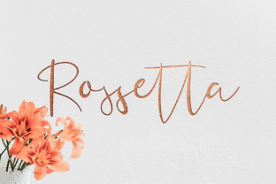 Enhance Your Brand with Rossetta: A Feminine Script Font