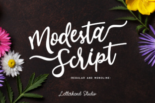 Modesta Script: A Feminine and Elegant Handwritten Font
