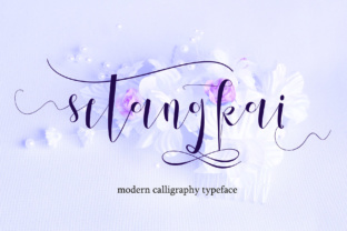 Setangkai Script: A Modern Font for Elegant Branding