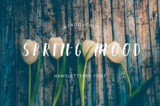 Spring Mood: A Clean and Handcrafted Font for Web Design