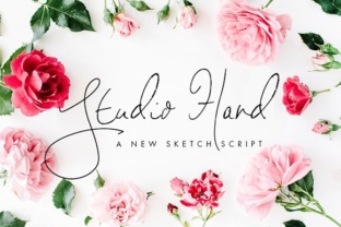 Studio Hand: A Refined Signature Script Font for Branding
