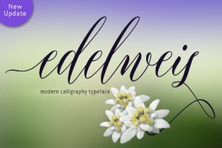 Transform Your Brand with Edelweis Calligraphy Font